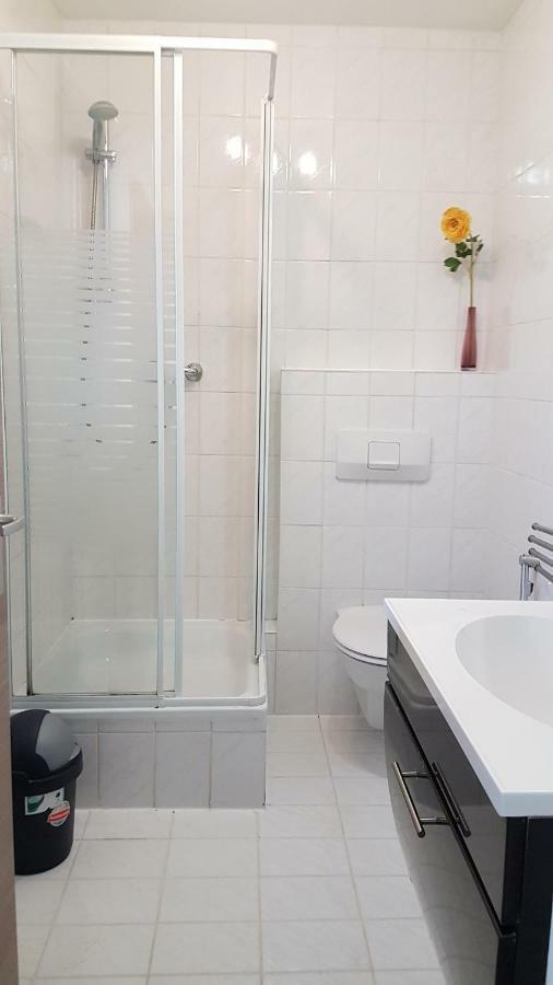 Flats-4U - Cosy, Quite & Clean Apartments In The City Bonn Zewnętrze zdjęcie